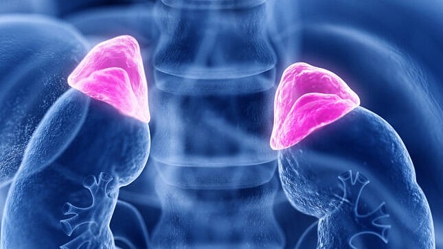 কর্টিসল হরমোন নিঃসৃত হওয়া কমে গেলে জীবনসংকট দেখা দিতে পারে