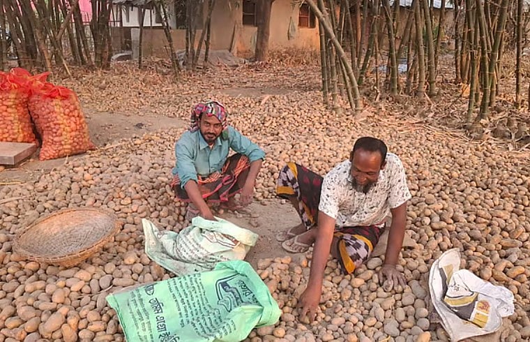 ‘এবারে রমজানে আমরা দেখেছি যে আলু, পেঁয়াজ, টমেটো, কাঁচা মরিচসহ কিছু সবজিতে স্বস্তির নিশ্বাস ফেলেছেন ভোক্তারা। কিন্তু তাতে যে কৃষকের অশ্রু-দীর্ঘশ্বাস জড়িয়ে আছে, তা নিয়ে কি আমরা প্রশ্ন করেছি?’