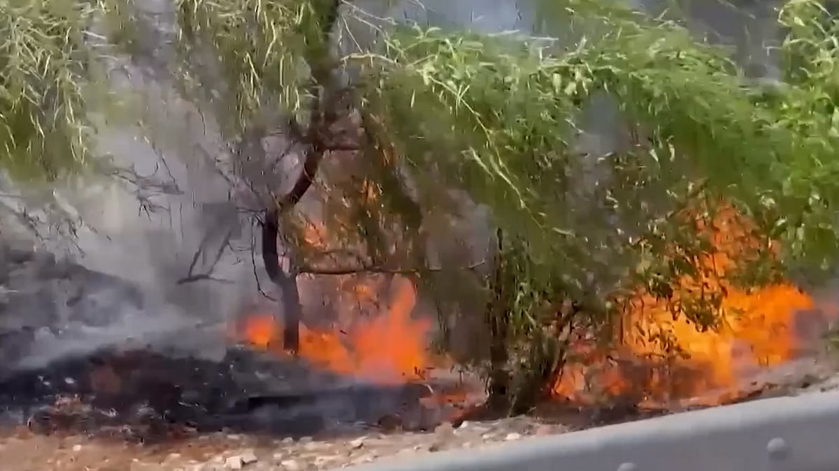 দাবানল ও প্রচণ্ড ধূলিঝড়ের মুখোমুখি ইসরায়েল