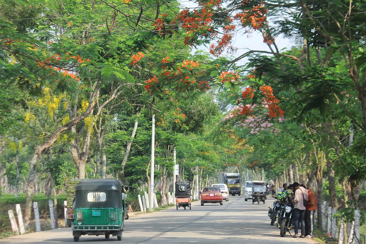 রাস্তার দুই পাশে ফুটেছে কৃষ্ণচূড়াসহ নানা ফুল। ফুলের সৌন্দর্য উপভোগ করতে স্থানীয় লোকজন ও পর্যটকেরা ভিড় করছেন। মৌলভীবাজারের শ্রীমঙ্গলের ভানুগাছ সড়কে