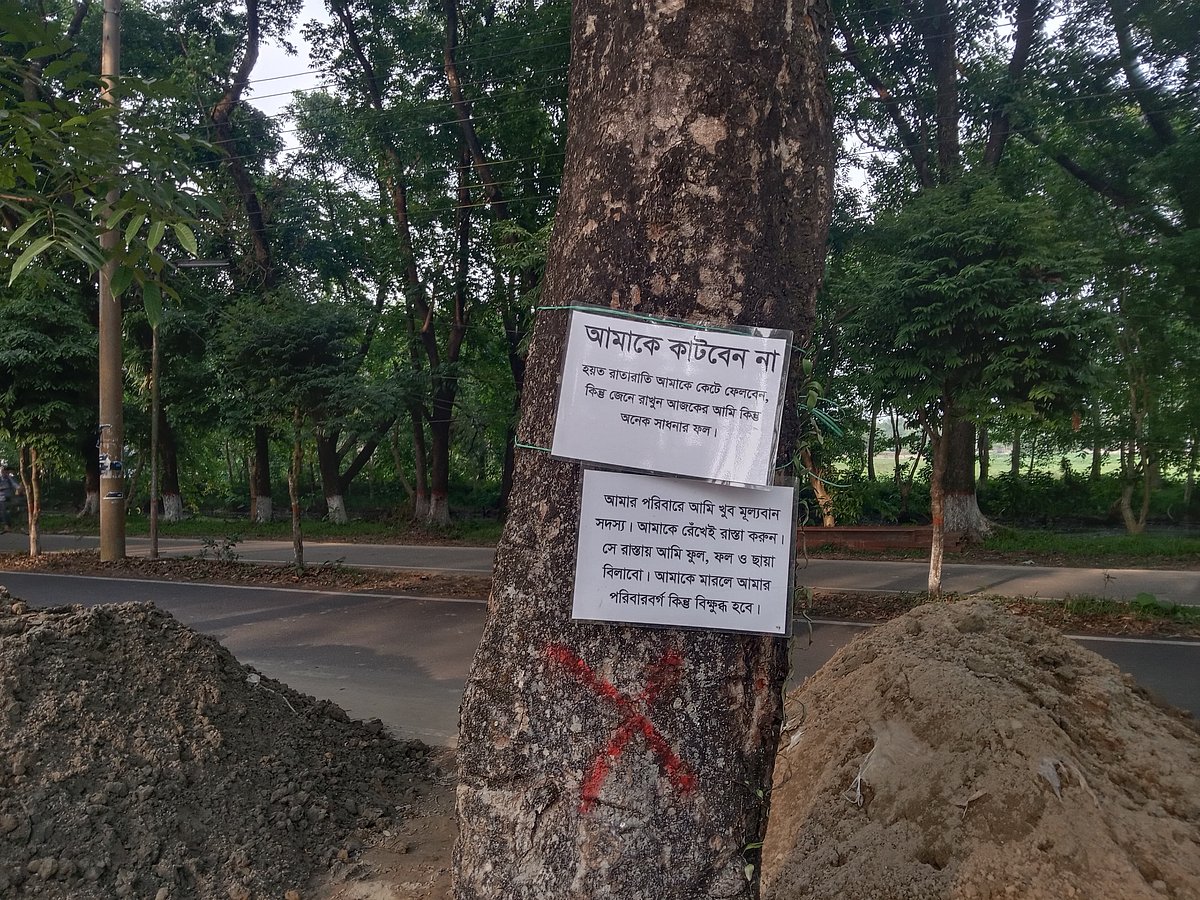 শাহজালাল বিজ্ঞান ও প্রযুক্তি বিশ্ববিদ্যালয়ের অধিকতর উন্নয়ন প্রকল্প-২–এর অধীনে কাটা পড়তে যাওয়া একটি গাছে ঝুলছে দুটি প্ল্যাকার্ড। ক্যাম্পাসের কিলোরোডের পাশে