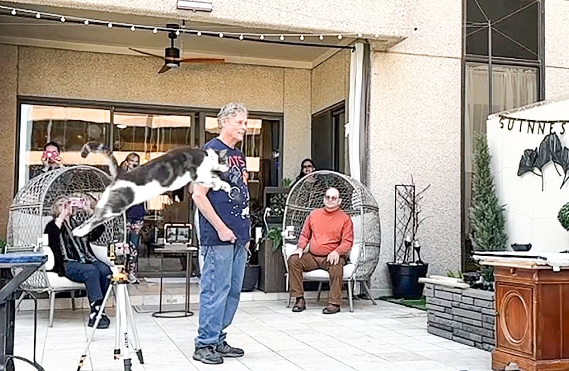 অস্কারের রেকর্ড গড়া লাফ