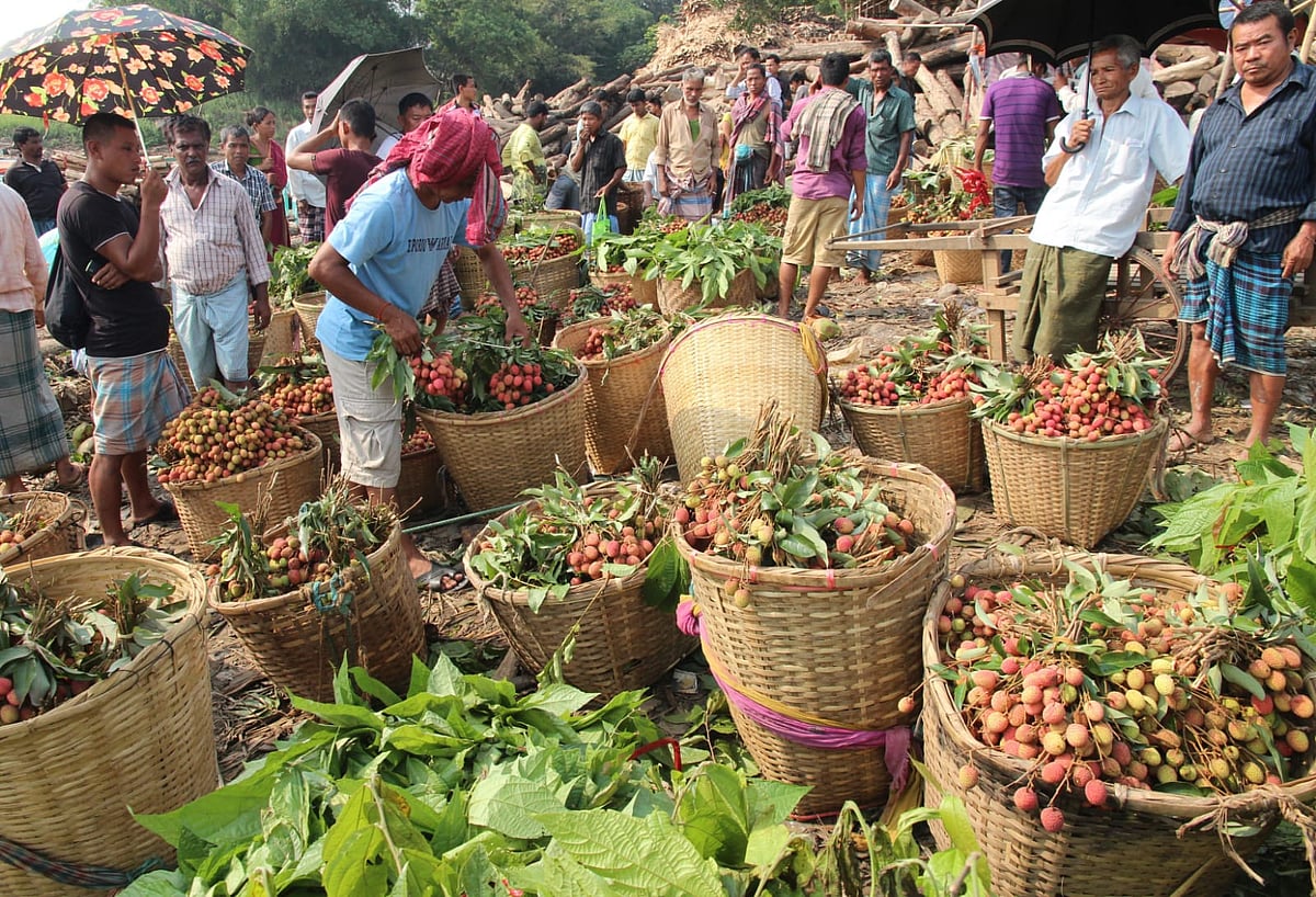 রাঙামাটি শহরের বনরুপা সমতা ঘাটে লিচু বিক্রি করতে নিয়ে এসেছেন চাষিরা। সম্প্রতি তোলা