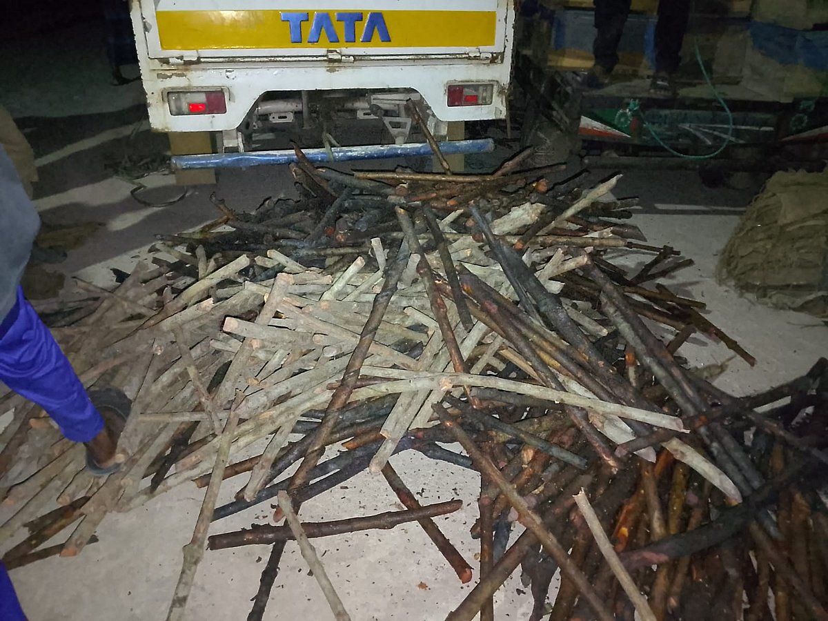 সাতক্ষীরা শ্যামনগর উপজেলায় উদ্ধার করা গরান কাঠ। গতকাল রাতে সুন্দরবনসংলগ্ন মুন্সিগঞ্জ এলাকায়