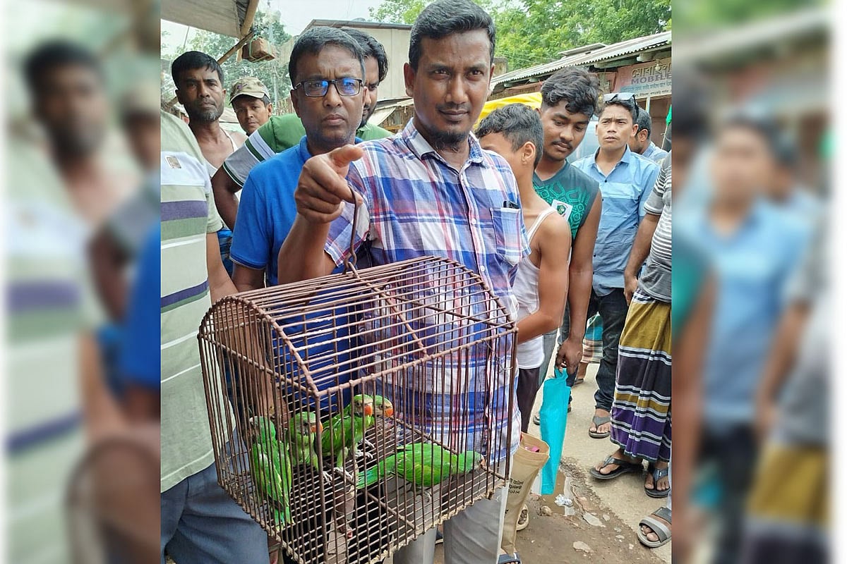 এই টিয়া পাখিগুলো বিক্রির জন্য ফেসবুকে পোস্ট দেওয়া হয়। আজ খাগড়াছড়ির  দীঘিনালায়
