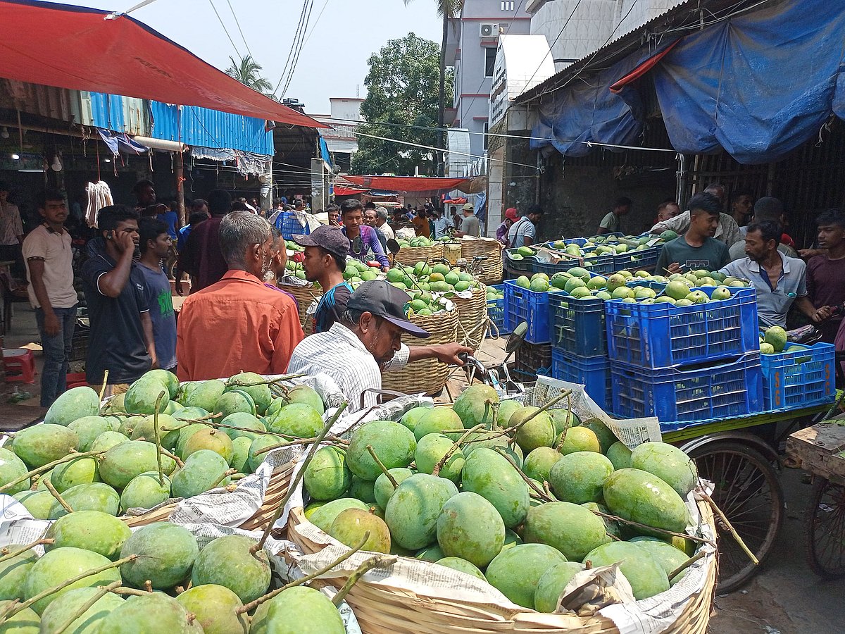 চাহিদার চেয়ে বেশি আম বাজারে ওঠায় দাম পাওয়া যাচ্ছে না বলে জানিয়েছেন চাষিরা। আজ সোমবার সকালে সাতক্ষীরা বড় বাজারে