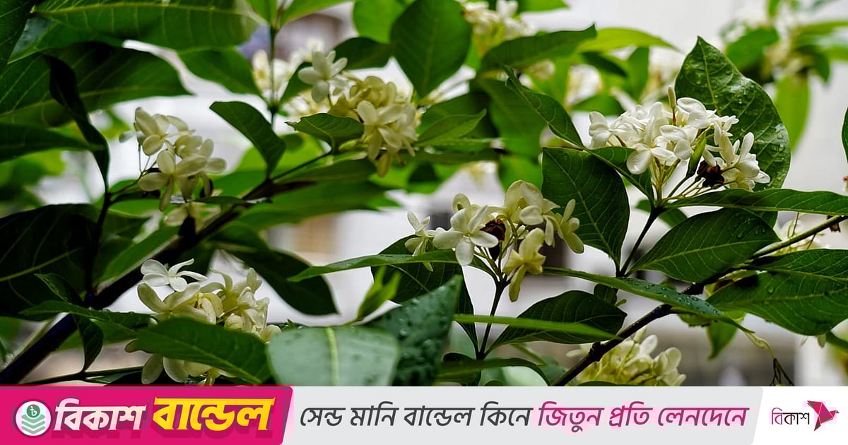 Porno HD onlayn Sonya Saunada jinsiy aloqada bolgan kollej qizlarining YouTube videosi