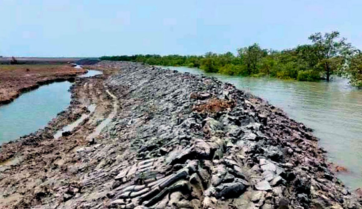 কক্সবাজারের প্রতিবেশ সংকটাপন্ন সোনাদিয়ার প্যারাবন ধংস করে চলছে বিএনপি নেতার চিংড়ি ঘের। সম্প্রতি তোলা