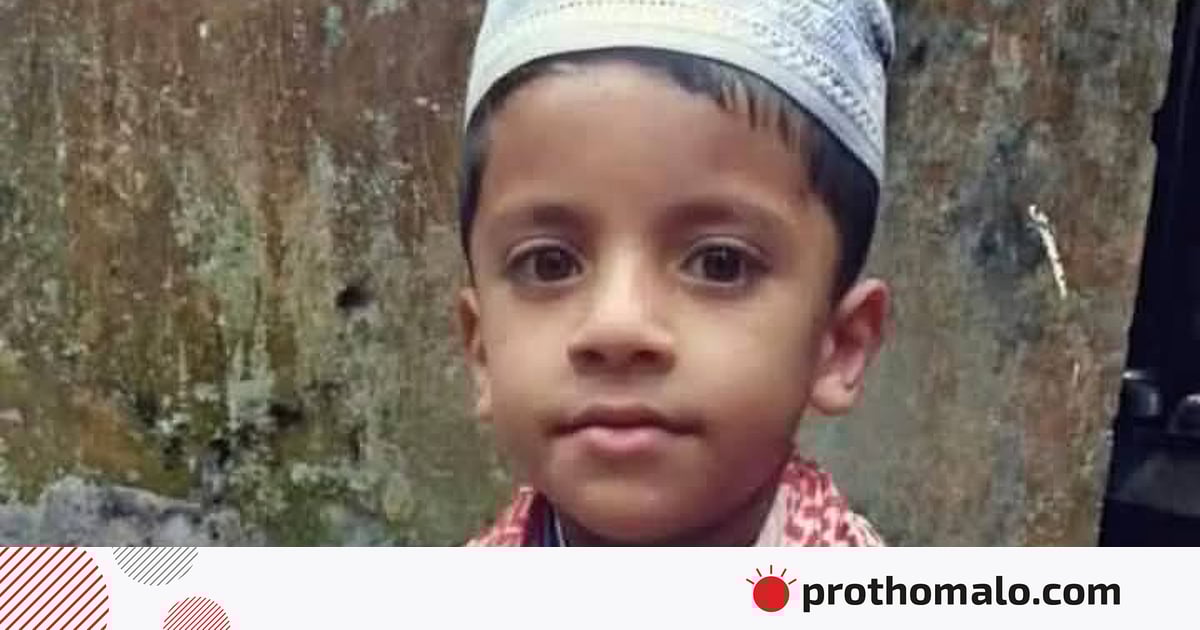 Yetuk ayollarning yumshoq dumbalarining fotosuratlari Keksa ayolning mushukining yaqindan korinishi