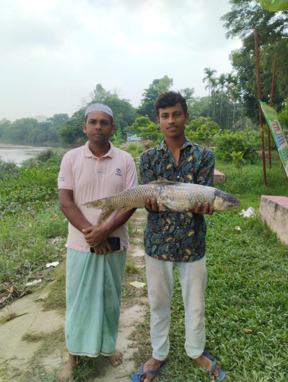 প্রাকৃতিক মৎস্য প্রজনন কেন্দ্র হালদায় মরে ভেসে ওঠা মা মাছ। আজ দুপুরে তোলা