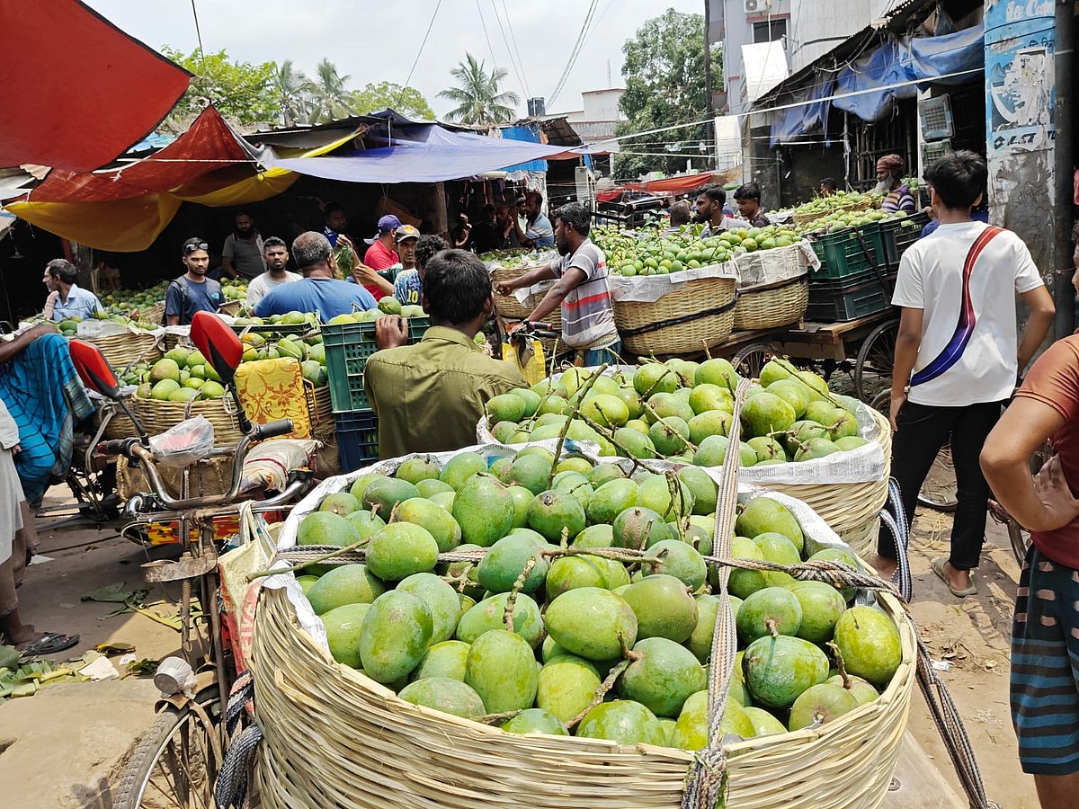 সাতক্ষীরার বড়বাজার হিমসাগর আমে একাকার। আজ শুক্রবার সকাল সাড়ে ১০টার দিকে। ছবি: প্রথম আলো