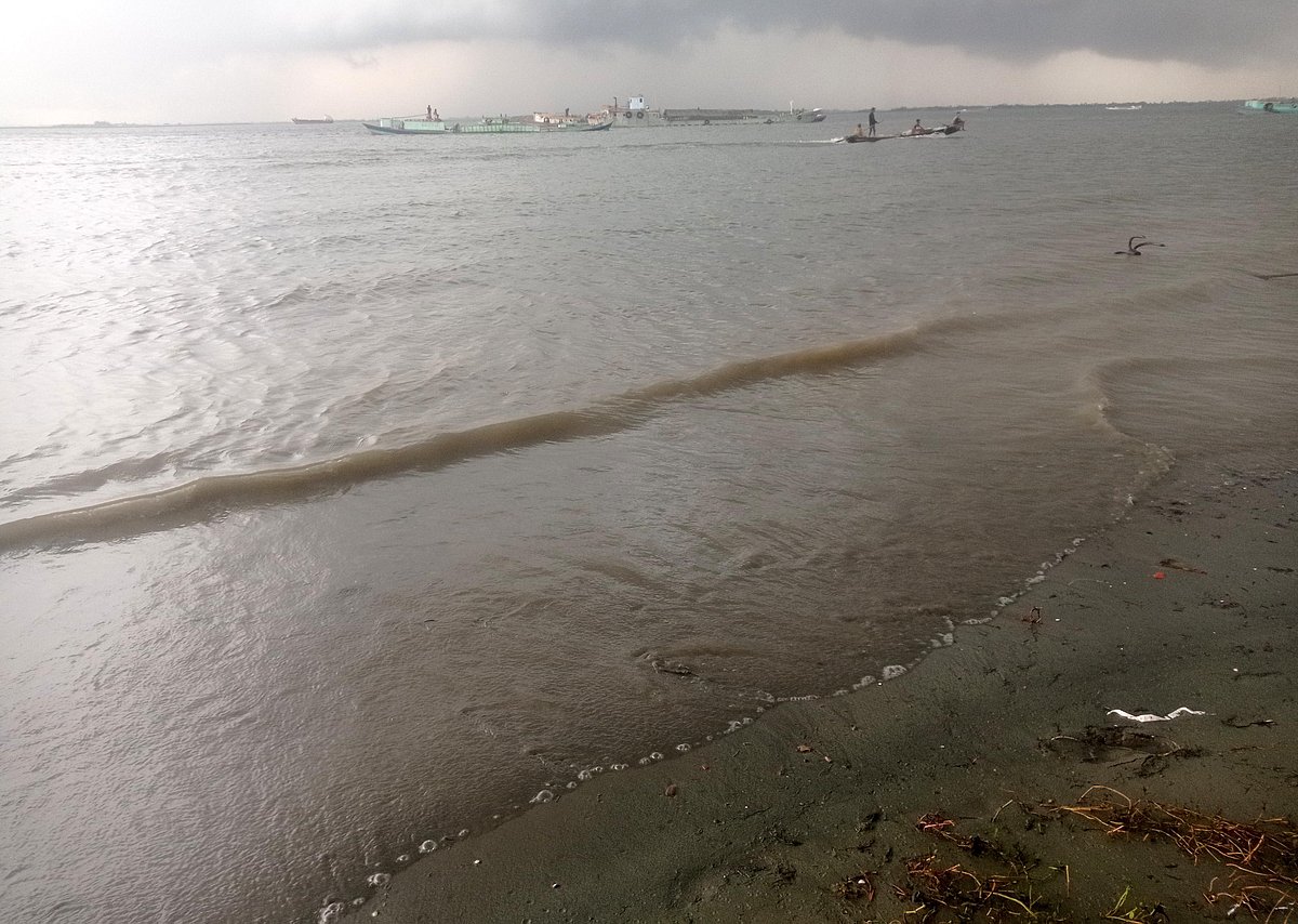 জোয়ার ও বৃষ্টিতে মরা মাছ ভেসে গেলেও এখনো ঘোলাটে মেঘনা নদীর পানি। গতকাল বিকেলে চাঁদপুরের মতলব উত্তর উপজেলার দশানী এলাকায়