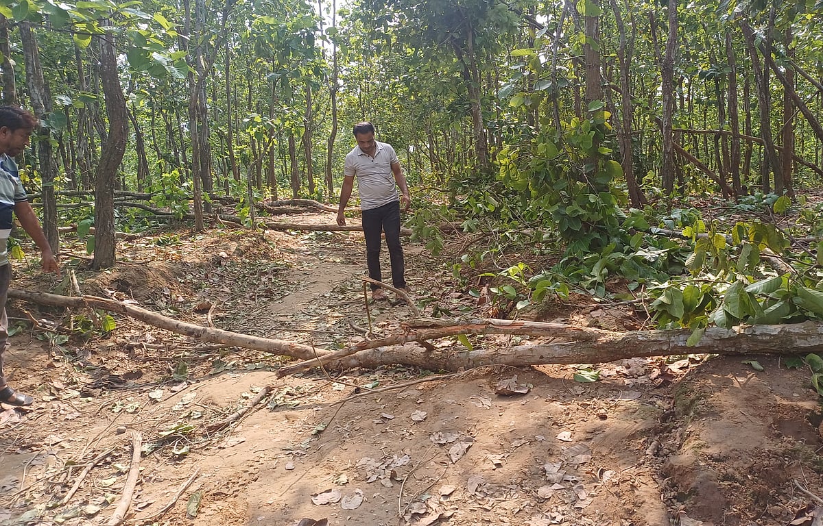 শেরপু‌রের ঝিনাইগাতী সীমা‌ন্তে বন্য হা‌তির আক্রমণে এক ব্যক্তির মারা যাওয়ার স্থানটি দেখাচ্ছেন এলাকাবাসী। বুধবার বিকেলে বাঁকাকুড়া গ্রামে