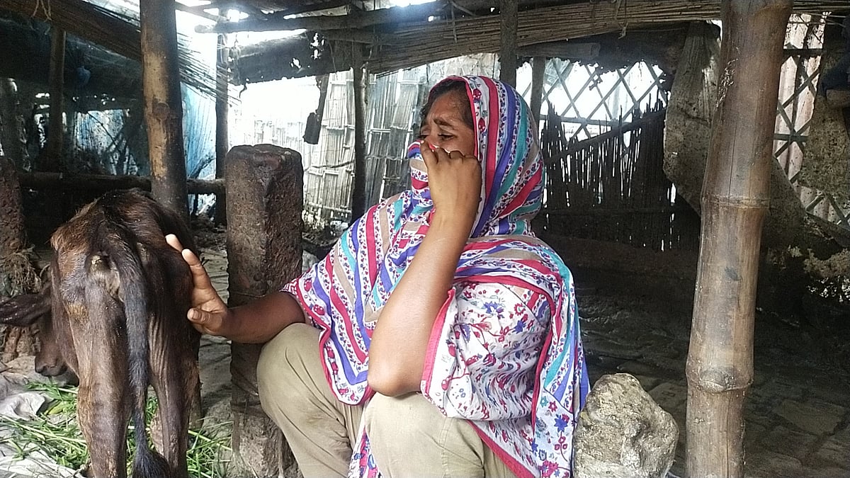 মুন্সিগঞ্জের গজারিয়া উপজেলায় গতকাল নিজেদের পাঁচটি গরু মারার পর গোয়ালঘরে একটি বাছুরকে ধরে বিলাপ করে কাঁদছিলেন রিমা বেগম। আজ সকালে হোসেন্দি ইউনিয়নের ভাটি বলাকী গ্রামে