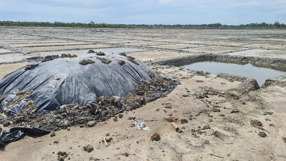মৌসুম শেষে মাঠেই লবণ সংরক্ষণ করেছেন চাষিরা। কক্সবাজারের কুতুবদিয়া থেকে গত সপ্তাহে তোলা