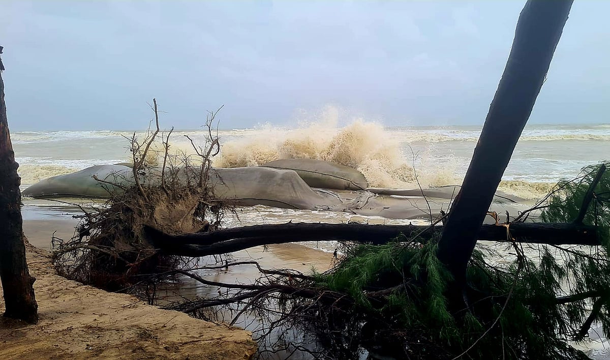 Porno rus xotini oz sevgilisi sorish uchun majbur