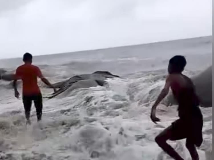 বেড়িবাঁধে উপচে জেয়ারের পানি ঢুকছে লোকালয়ে। আজ দুপুরে কক্সবাজারের মহেশখালীর মাতারবাড়ী ইউনিয়নের পশ্চিমে ষাইটপাড়া এলাকায়
