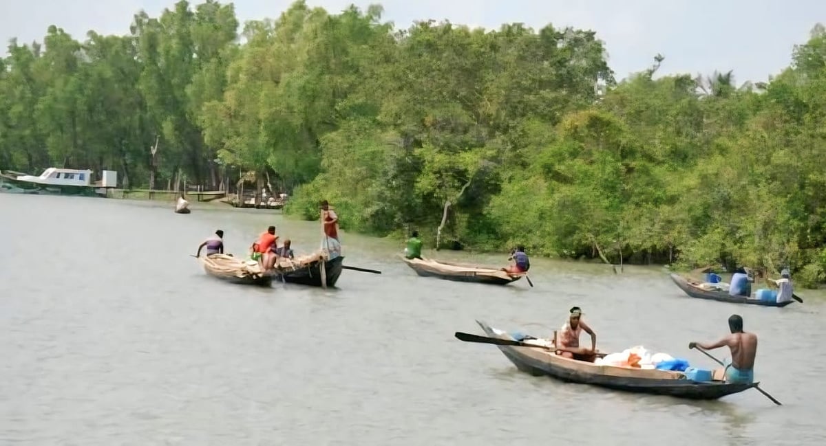 নিষেধাজ্ঞা জারি করায় সাতক্ষীরার সুন্দরবন থেকে লোকালয়ে ফিরতে শুরু করেছেন বনজীবীরা। আজ দুপুরে শ্যামনগর উপজেলার গাবুরা এলাকায়