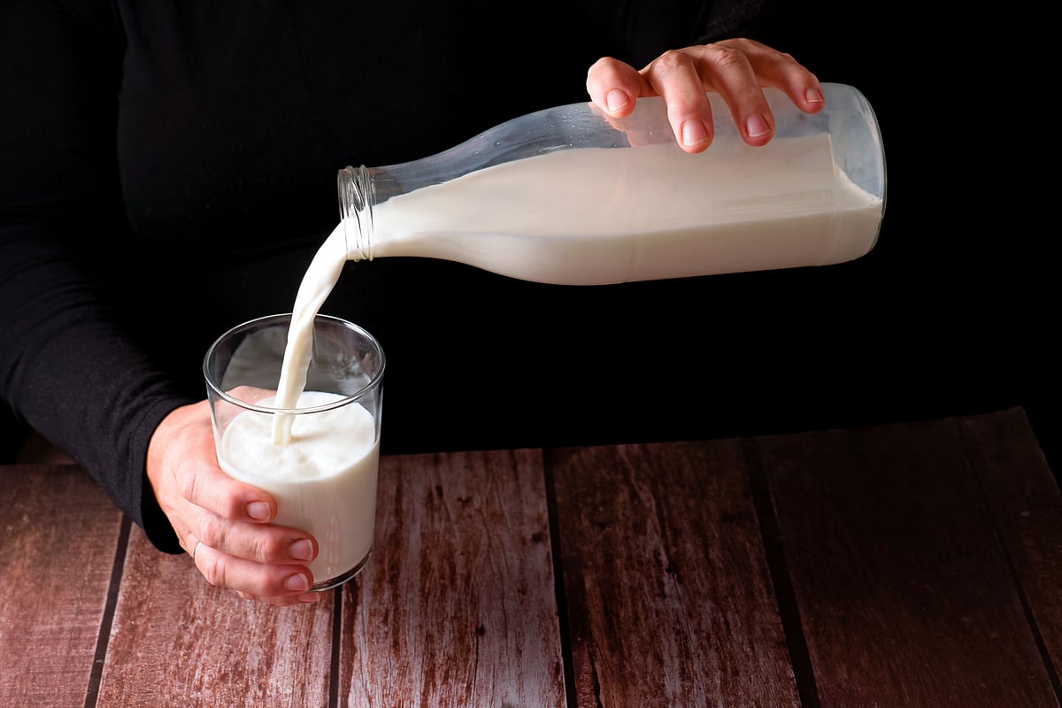 বিশ্ব দুগ্ধ দিবসের এবারের প্রতিপাদ্য ‘আসুন দুগ্ধশিল্প এবং দুধের প্রভাব উদ্‌যাপন করি