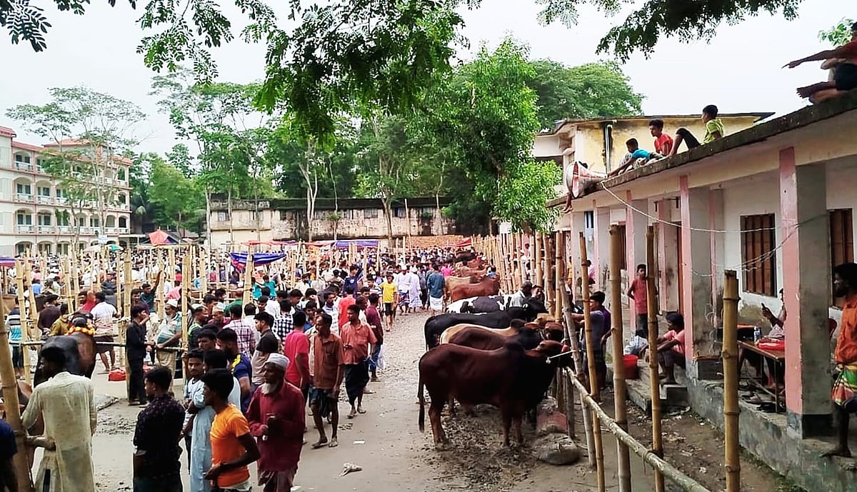 কুমিল্লার চান্দিনা উপজেলার দোল্লাই নবাবপুর সরকারি প্রাথমিক বিদ্যালয় মাঠে অবৈধ পশুর হাট। গতকাল সোমবার বিকেলে