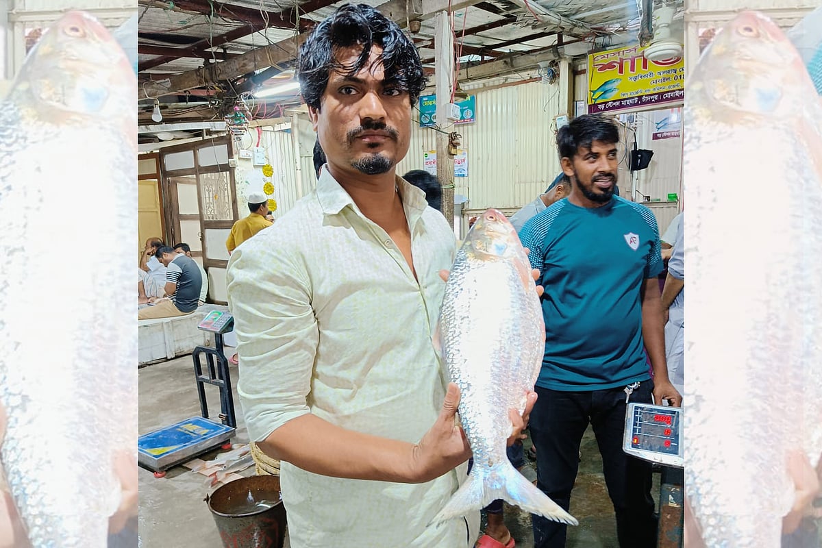 ইলিশটি ১৩ হাজার ৩৯০ টাকায় কিনে নেন হারুন মোল্লা নামের এক মাছ বিক্রেতা। আজ সকালে চাঁদপুর সদর উপজেলার বড় স্টেশন মাছঘাটে