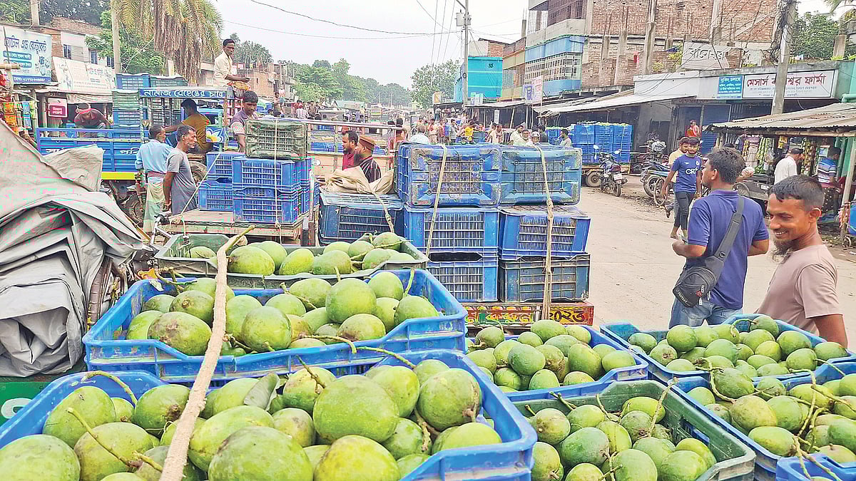 রাজশাহীর পুঠিয়া উপজেলার বানেশ্বর হাটে প্রতিদিন বিক্রি হয় কয়েক হাজার মণ আম। গত শনিবার বিকেলে
