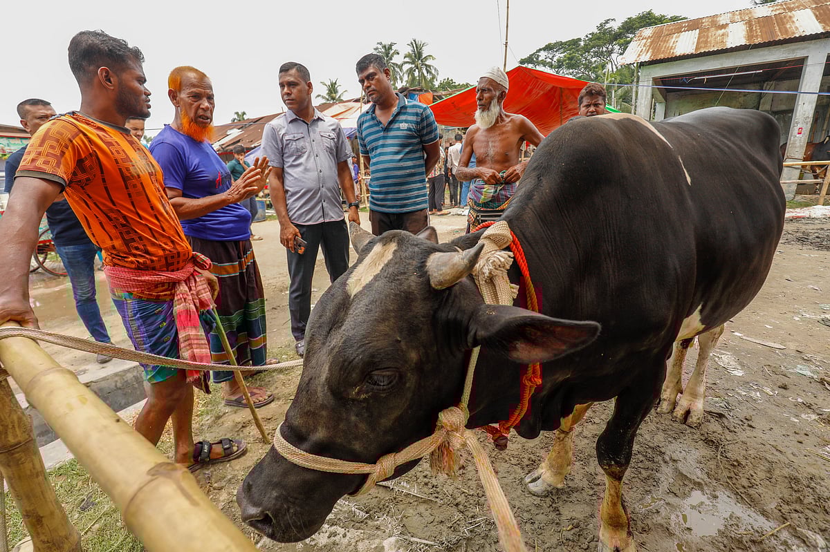 হাট শুরুর পর থেকে প্রতিদিন গরু–ছাগলের সংখ্যা বাড়লেও এখনো পুরোপুরি জমে ওঠেনি বেচাকেনা। আজ বুধবার খুলনা নগরের জোড়াগেট পশুর হাটে
