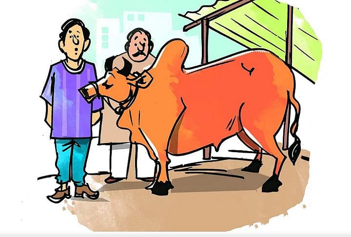 ‘বাজারে গিয়ে সত্যিই দালাল একটা গরু মিলিয়ে দিল। আজমল সাহেব অবাক। দালাল ছেলেটা তার মন জয় করে নিয়েছে।’