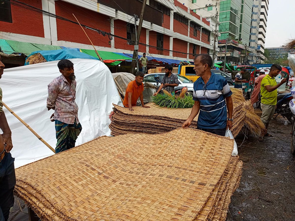রাজধানীর কারওয়ান বাজারে হোগলা বিক্রি করছেন একজন মৌসুমী বিক্রেতা
