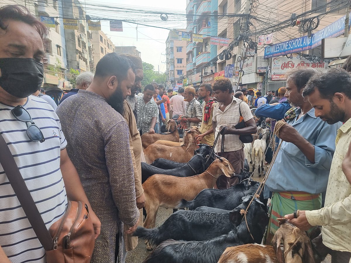 ঈদের আগের দিন রাজধানীতে জমে ওঠে অস্থায়ী পশুর হাট। শুক্রবার মোহাম্মদপুরের হাউজিং রোডে