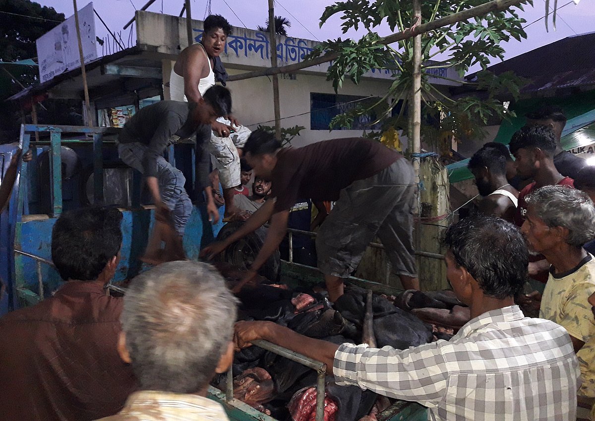 মৌলভীবাজারের বালিকান্দি চামড়া বাজারে শনিবার রাতভর চলে বেচা–কেনা