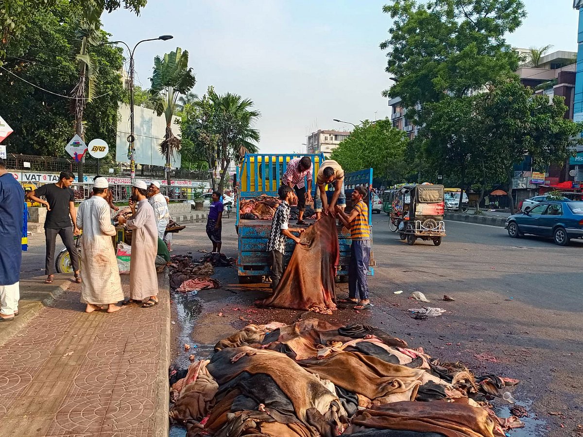কোরবানির চামড়ার কেনাবেচা চলছে। গতকাল শনিবার বিকেলে ঢাকার সাইন্সল্যাব এলাকায়