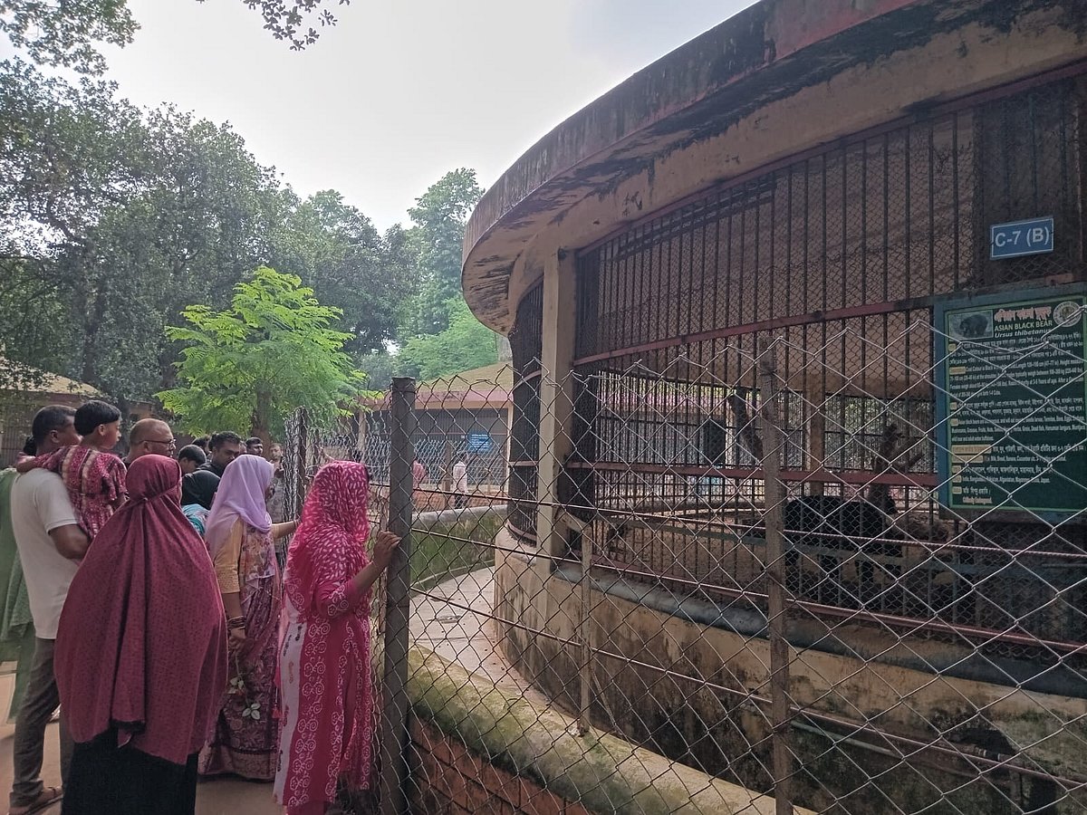জাতীয় চিড়িয়াখানায় ভালুকের খাঁচার সামনে দর্শনার্থীরা। মিরপুর, ঢাকা, ৮ জুন ২০২৫