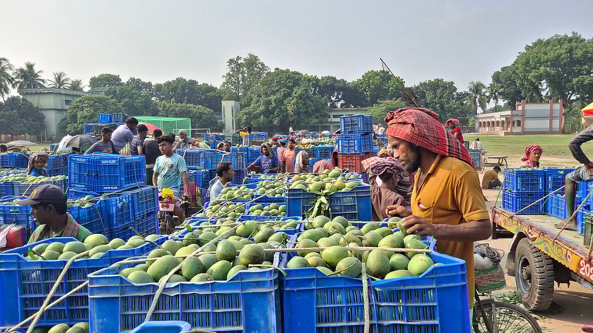 প্রচণ্ড গরম আর রোদে আম দ্রুত পেকে যাচ্ছে। হাটে প্রচুর আম উঠলেও খুব বেশি ক্রেতা নেই। গতকাল সোমবার বিকেলে রাজশাহীর পুঠিয়া উপজেলার বানেশ্বর হাটে