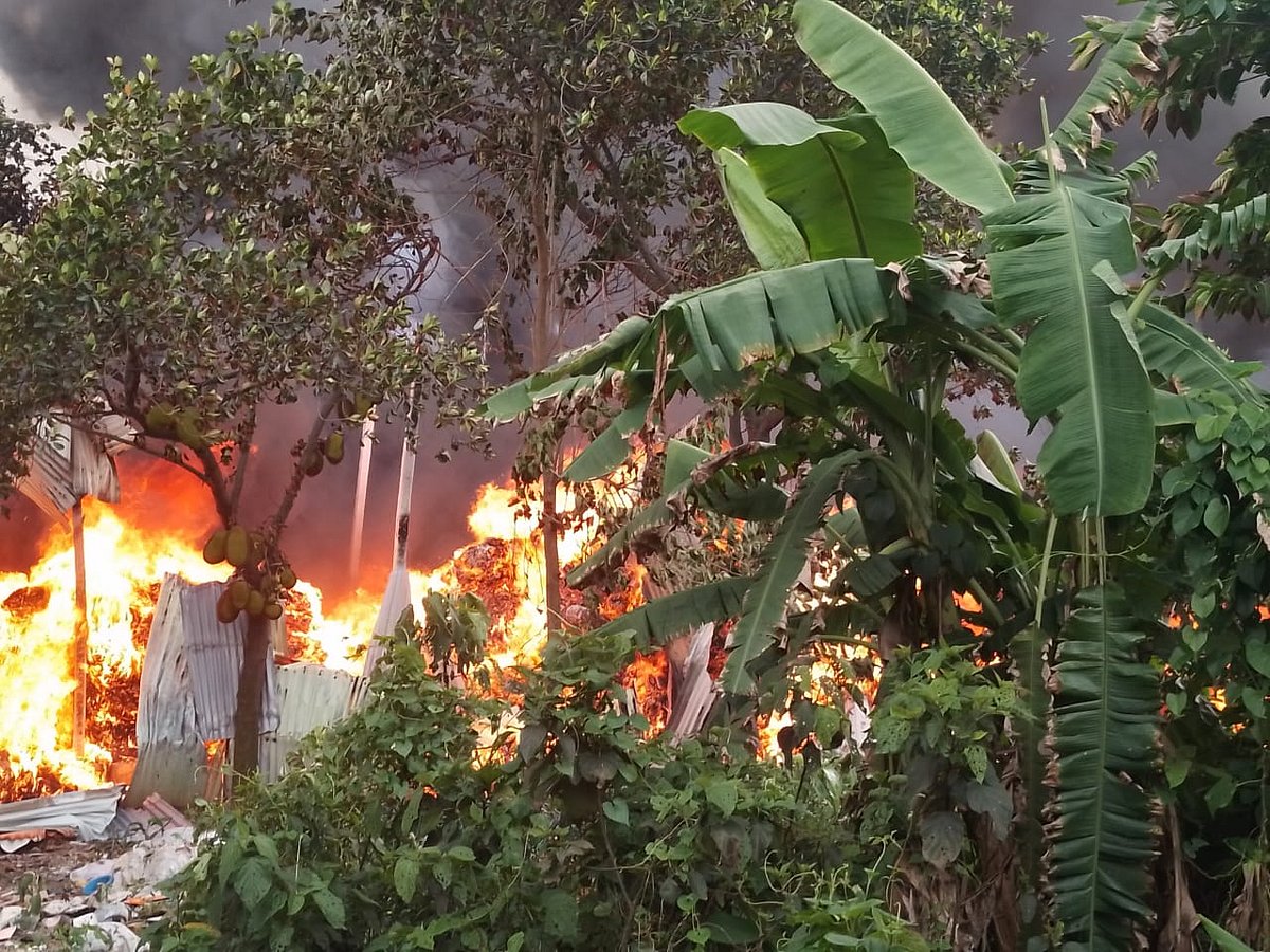 একটি গুদাম থেকে সূত্রপাত হওয়া আগুন আশপাশের গুদামগুলোতে ছড়িয়ে পড়ে। আজ সোমবার দুপুরে গাজীপুরের কোনাবাড়ী থানাধীন আমবাগ এলাকায়