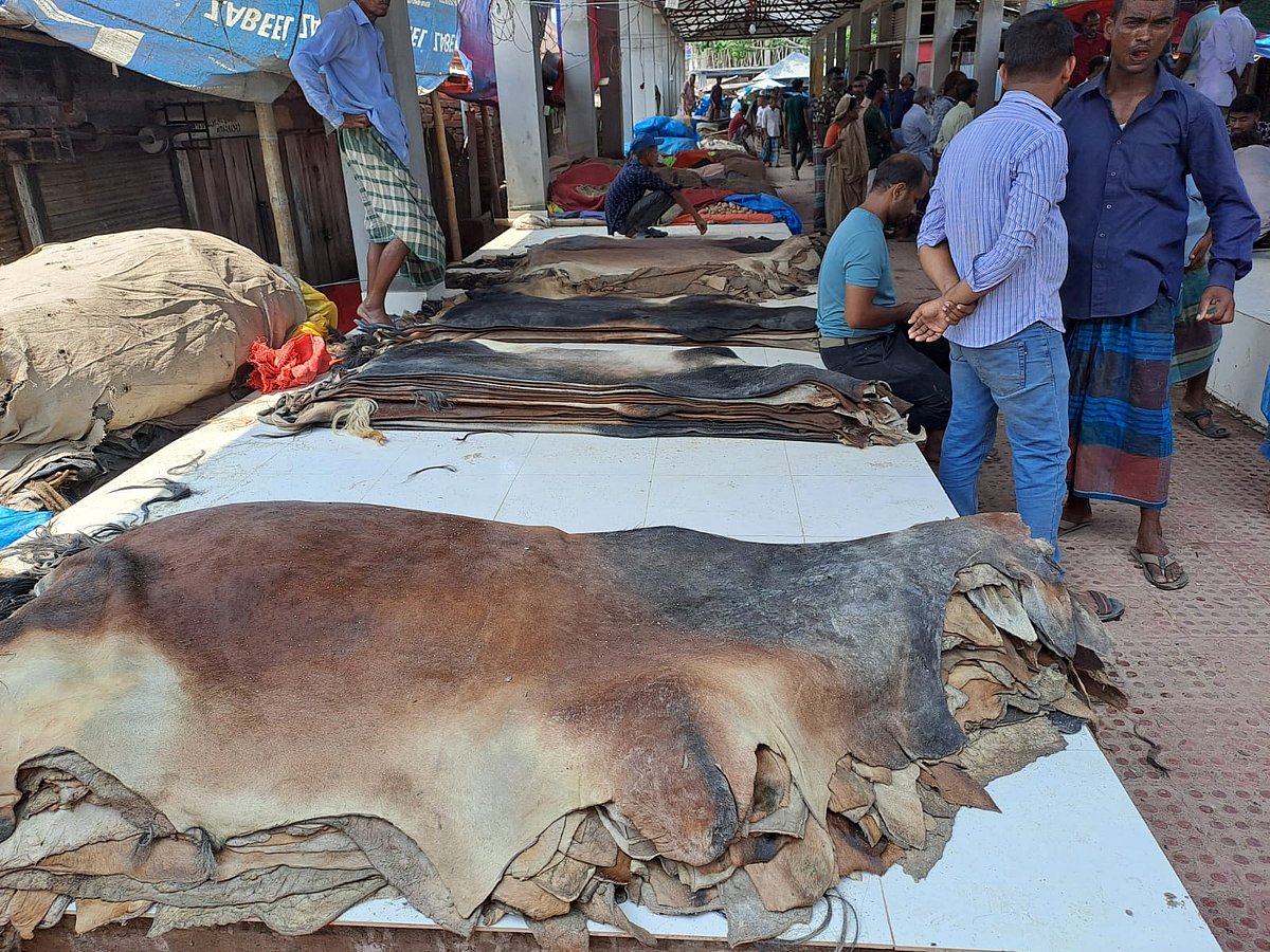 চামড়ার হাটে বিক্রির জন্য সাজিয়ে রাখা চামড়া