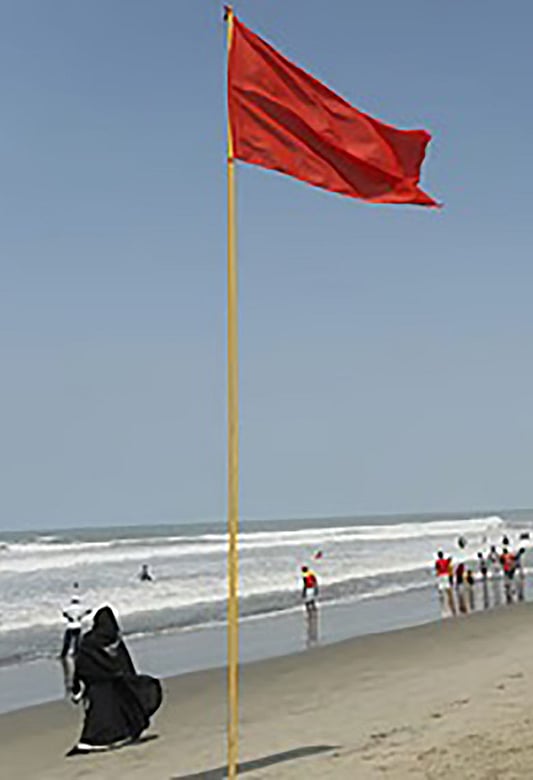 Xunuk kokraklar va mushuklar