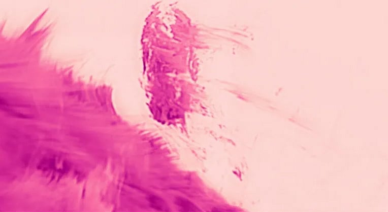 সূর্যের করোনা এলাকা