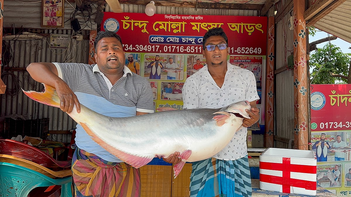 আজ দুপুরে প্রায় ২১ কেজি ৫০০ গ্রাম ওজনের পাঙাশ মাছটি নিলামে কিনে অন্যত্র বিক্রি করেন মৎস্য ব্যবসায়ী চান্দু মোল্লা