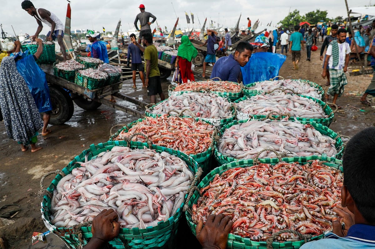 নিষেধাজ্ঞা শেষে আবারও শুরু হয়েছে সমুদ্রপথে মাছ ধরা। তাতেই প্রাণ ফিরে পেয়েছে  চট্টগ্রামের কর্ণফুলী নদীর তীরবর্তী ঘাটগুলো। ঝুড়ি ঝুড়ি চিংড়ি, লইট্টা, ছুরি, শাপলা, কালো চাঁদা ও রুপচাঁদা মিলছে জালে। তবে দেখা মেলেনি ইলিশের। গতকাল সকাল সাতটায় চট্টগ্রাম নগরের ফিশারিঘাট মাছবাজার এলাকায়
