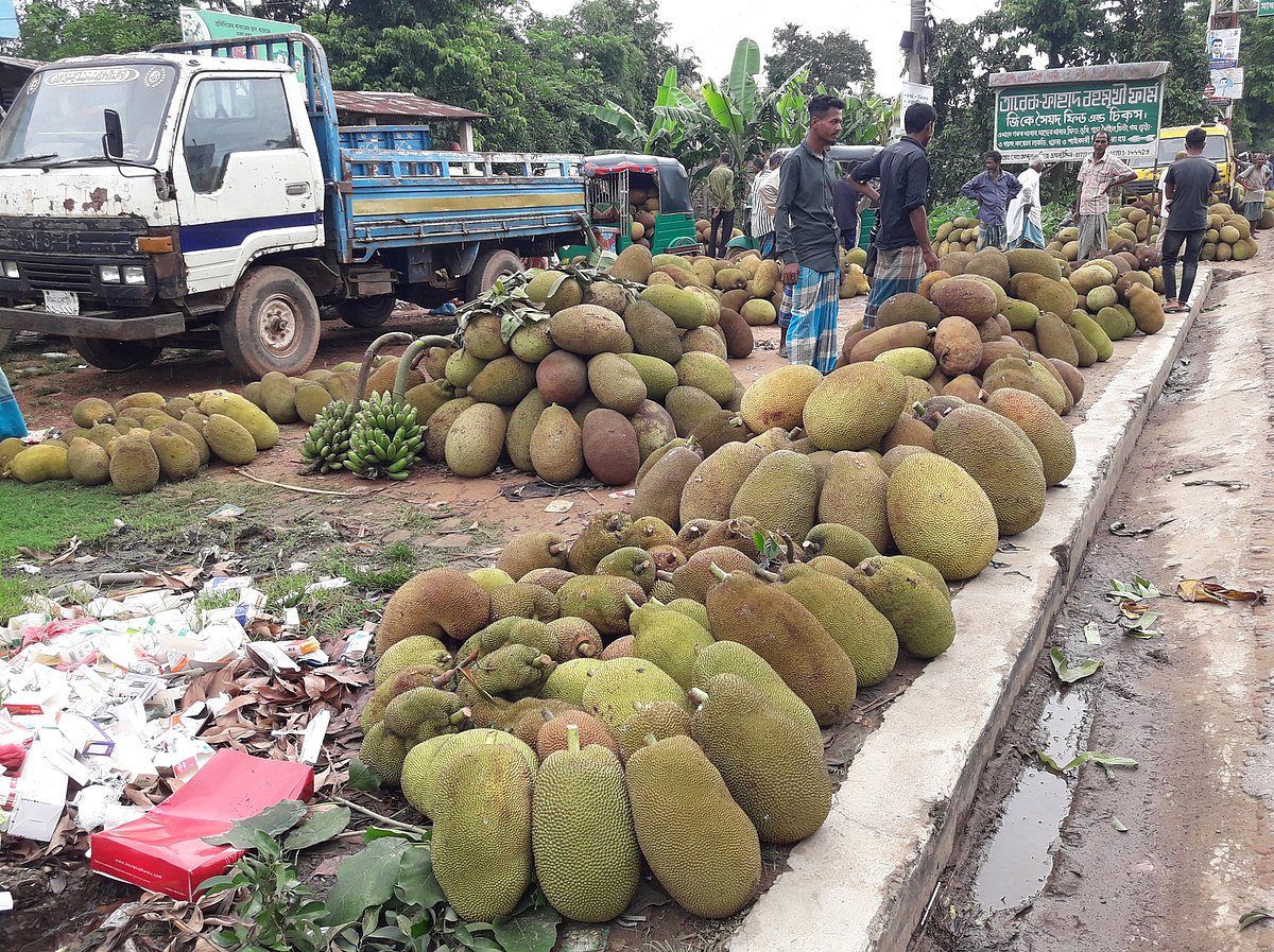 মৌলভীবাজারের কুলাউড়া উপজেলার ব্রাহ্মণবাজারে প্রতি মৌসুমেই কাঁঠালের হাট বসে