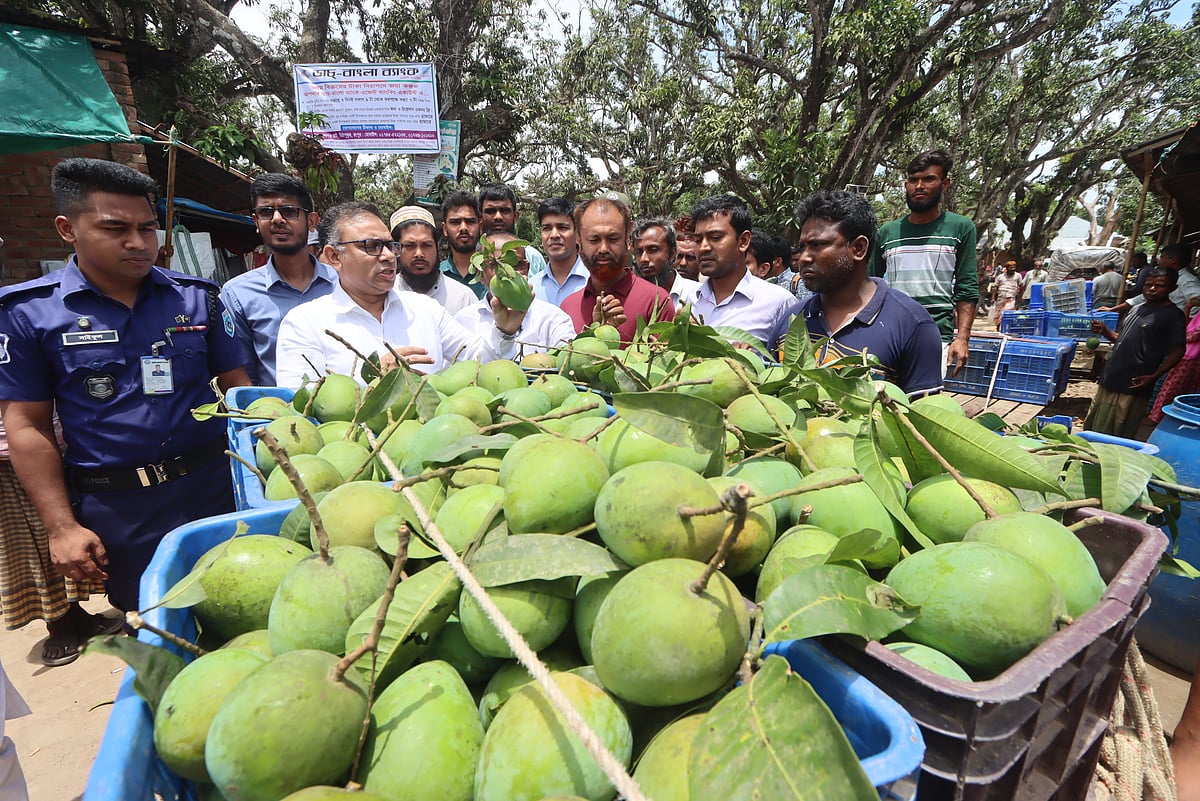 আমচাষি ও ব্যবসায়ীদের সঙ্গে মতবিনিময় সভা শেষে মিঠাপুকুর উপজেলার পদাগঞ্জ বাজার পরিদর্শন করেন জেলা প্রশাসক মোহাম্মদ রবিউল ফয়সাল। আজ মঙ্গলবার তোলা