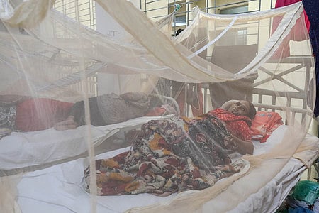 হাসপাতালে বাড়ছে ডেঙ্গু আক্রান্ত রোগীর সংখ্যা। গতকাল বেলা সাড়ে তিনটায় রাজধানীর মুগদা মেডিকেল কলেজ হাসপাতালে