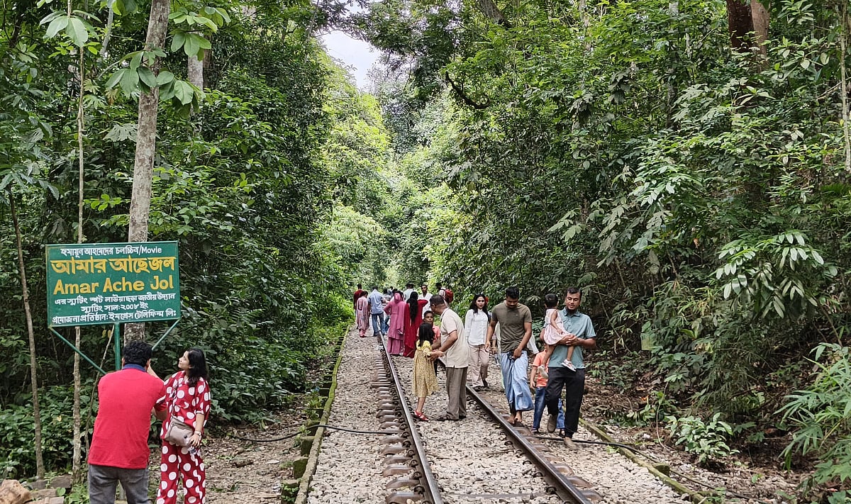 ছুটির সময়ে মৌলভীবাজারের লাউয়াছড়া জাতীয় উদ্যানে পর্যটকেরা ভিড় করেছিলেন। ১২ জুনের ছবি