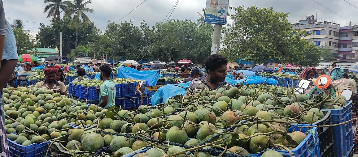 চাঁপাইনবাবগঞ্জের শিবগঞ্জ উপজেলার কানসাট আমের বাজার। আজ মঙ্গলবার দুপুরের চিত্র