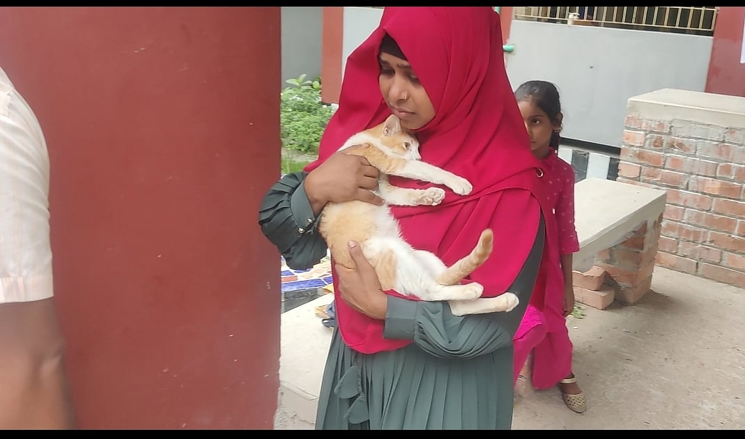 বিড়ালছানার অসুস্থতায় তাঁকে নিয়ে মঙ্গলবার দুপুরে জয়পুরহাটের আক্কেলপুর উপজেলা প্রাণিসম্পদ দপ্তরে আসেন গৃহিণী নিপা আকতার