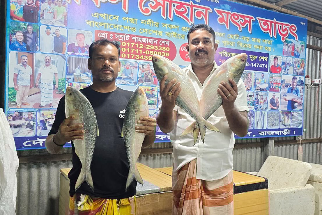 ৩ কেজি ৬০০ গ্রাম ওজনের ইলিশ দুটি ১৪ হাজার ৪০০ টাকায় কিনেছেন এক ব্যবসায়ী। আজ বুধবার সকালে রাজবাড়ীর দৌলতদিয়া ফেরিঘাট এলাকায়
