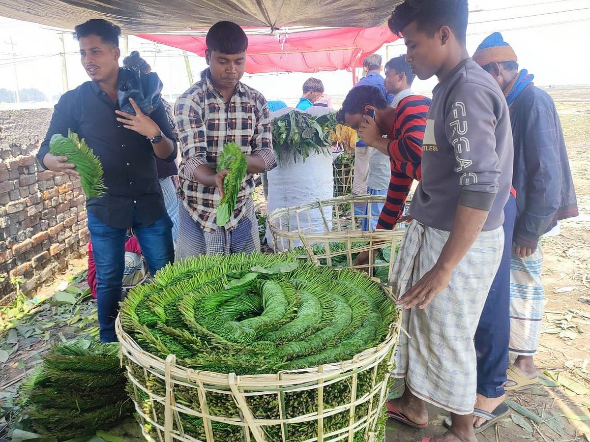 মহেশখালীর জনতা বাজারে পানের বেচাকেনা চলছে। গত শুক্রবার সকালে
