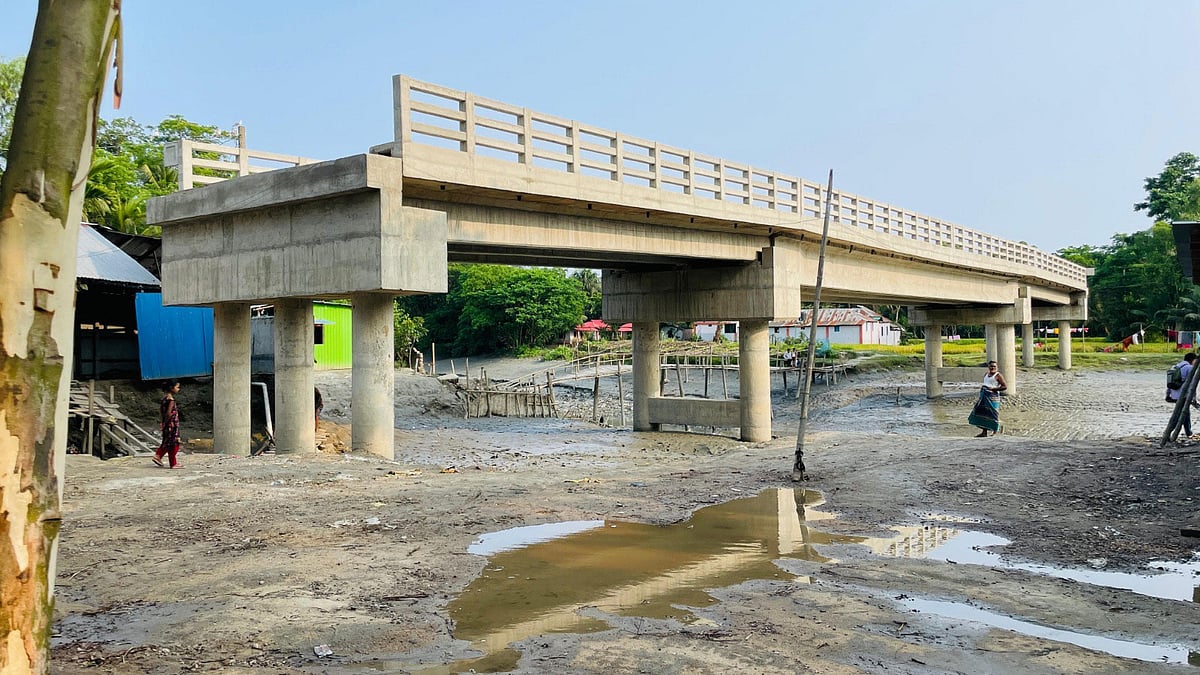 ফেনীর দাগনভূঞার সিলোনিয়ায় ডাকাতিয়া নদীর ওপর ৮ কোটি ৩০ লাখ টাকা ব্যয়ে ৮১ মিটার দৈর্ঘ্যের এই সেতুটির সংযোগ সড়ক নেই। ভূমি থেকে ২০ ফুট উঁচু এই সেতু কোনো কাজেই আসছে না