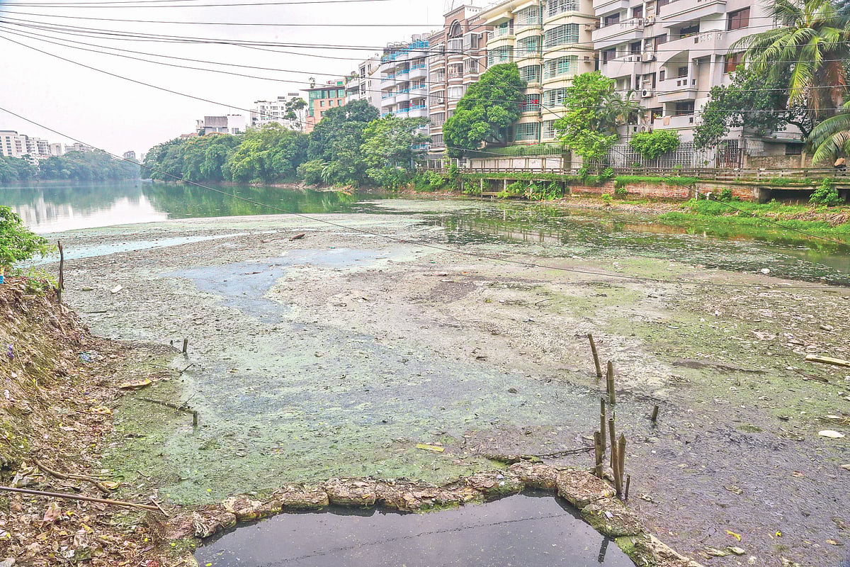 থিকথিকে কাদার মতো বর্জ্যে ভরে গেছে গুলশান লেক। দুর্গন্ধে টেকা দায়। লেকের পাশের বাসাবাড়ির মানুষ দরজা-জানালা খুলতে পারেন না। সম্প্রতি রাজধানীর কালাচাঁদপুর এলাকায়